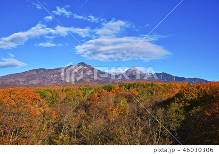 早朝の八ヶ岳　甲斐大泉からの紅葉の森越しの八ヶ岳 46030306