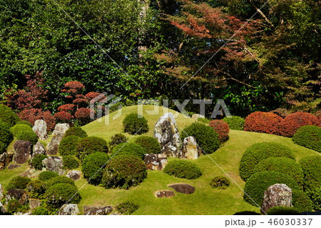 (静岡県)龍潭寺(りょうたんじ)庭園 紅葉 (静岡県)龍潭寺(りょうたんじ)庭園 紅葉 46030337