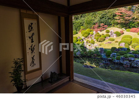 （静岡県）龍潭寺（りょうたんじ）庭園　紅葉 46030345