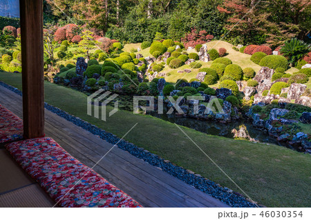 （静岡県）龍潭寺（りょうたんじ）庭園　紅葉 46030354