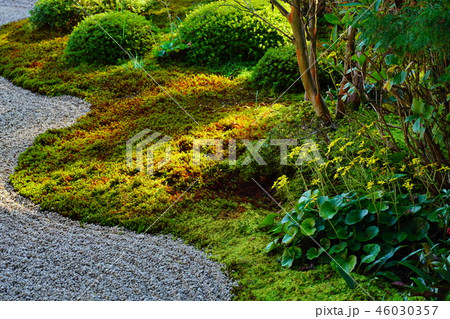 (静岡県)龍潭寺(りょうたんじ)庭園 紅葉 (静岡県)龍潭寺(りょうたんじ)庭園 紅葉 46030357