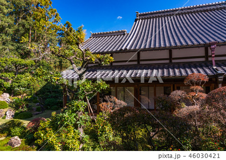 (静岡県)龍潭寺(りょうたんじ) 境内 紅葉 (静岡県)龍潭寺(りょうたんじ) 境内 紅葉 46030421