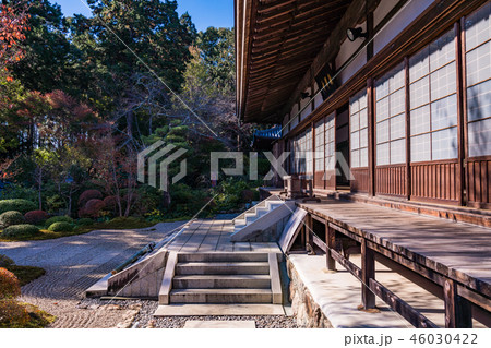 （静岡県）龍潭寺（りょうたんじ）　境内　紅葉 46030422