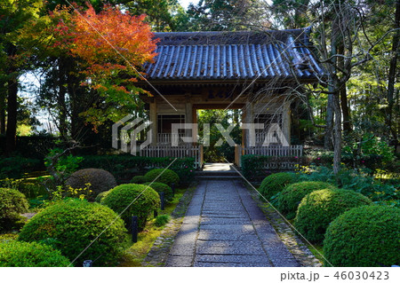 （静岡県）龍潭寺（りょうたんじ）　境内　紅葉 46030423