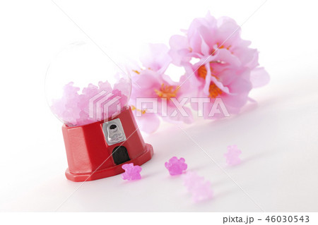 桜色のこんぺいとう 46030543