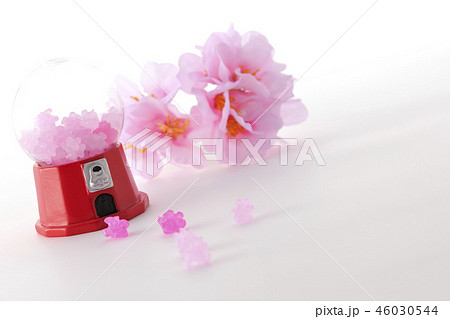 桜色のこんぺいとう 46030544