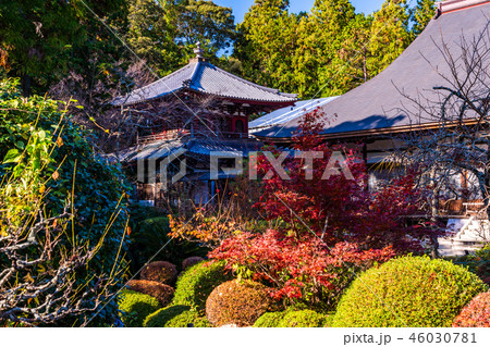 （静岡県）龍潭寺（りょうたんじ）　本堂　開山堂　庭園 46030781