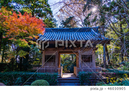 （静岡県）龍潭寺（りょうたんじ）　仁王門　紅葉 46030905