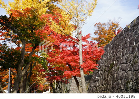 秋の盛岡城跡公園 46031198