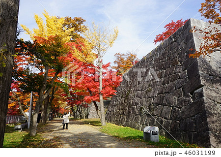 秋の盛岡城跡公園 46031199