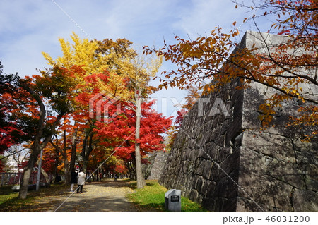 秋の盛岡城跡公園 秋の盛岡城跡公園 46031200
