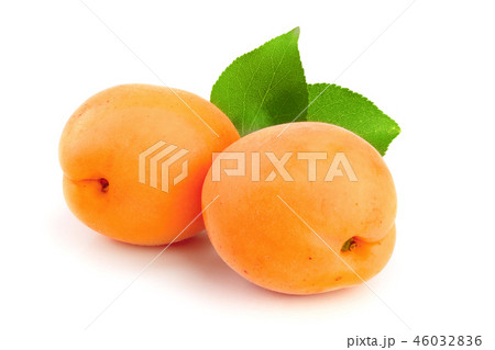 Apricot fruits with leaves isolated on white background macro 46032836
