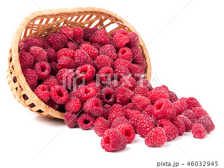raspberries spilled from a wicker basket isolated raspberries spilled from a wicker basket isolated 46032945
