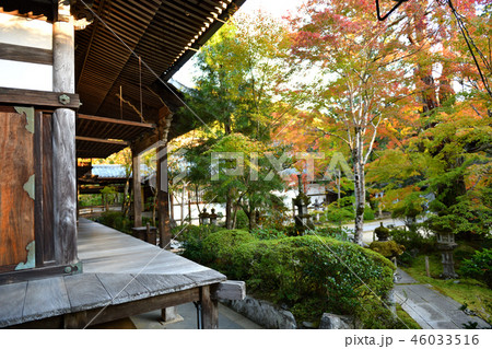 西明寺 京都 2018 秋 西明寺 京都 2018 秋 46033516