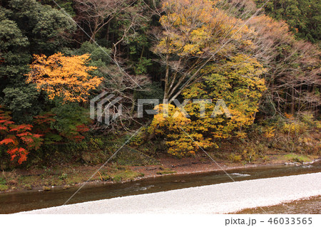 秋色の奥多摩・御岳渓谷(4) 秋色の奥多摩・御岳渓谷(4) 46033565