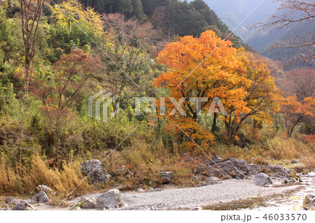 秋色の奥多摩・御岳渓谷(5) 46033570
