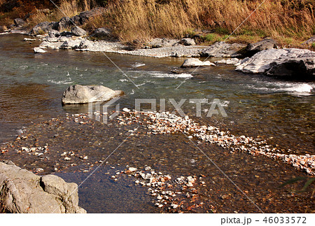 御岳渓谷の多摩川清流(4) 46033572