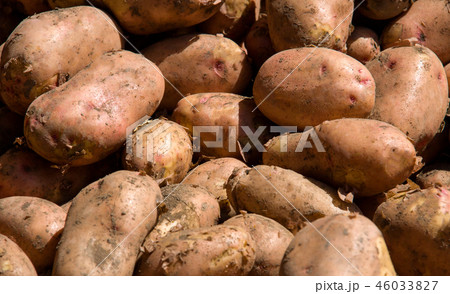 potatoes on the market as a background potatoes on the market as a background 46033827