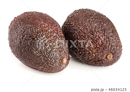 one whole avocado isolated on white background 46034125