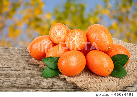Cumquat or kumquat with leaf on old wooden table with blurry garden background 46034491