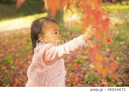 紅葉狩り 紅葉狩り 46034672