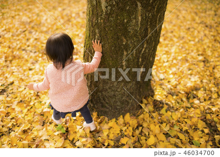 紅葉狩りを楽しむ子供 紅葉狩りを楽しむ子供 46034700