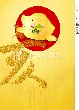亥　和紙　年賀状　背景  46034807