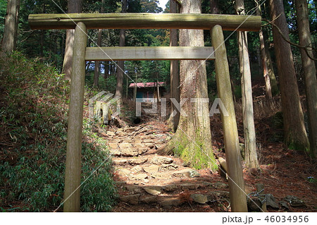 東京都 奥多摩の大岳山にある大岳神社の鳥居 46034956