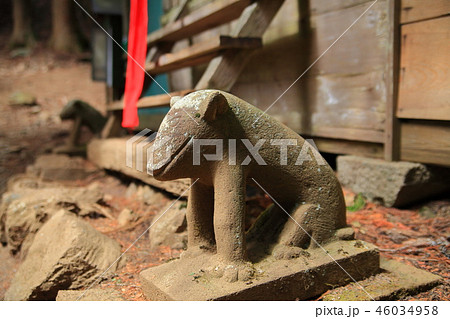 東京都 奥多摩の大岳山にある大岳神社の狛犬 46034958