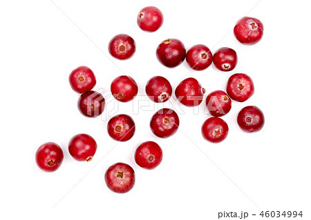 Cranberry isolated on white background closeup top view Cranberry isolated on white background closeup top view 46034994