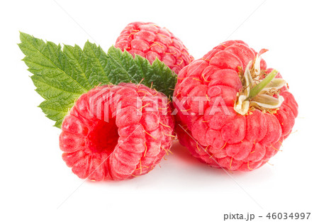 raspberries with leaf isolated on white background macro 46034997