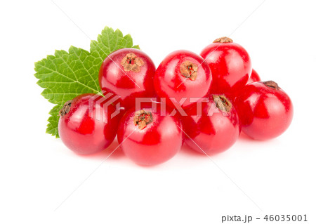 Red currant berries with leaf isolated on white background 46035001