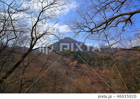 東京都青梅市の七代の滝付近の登山道(800m)から南西側の大岳山を見る 46035020