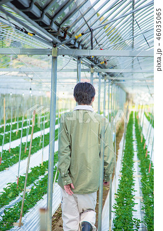 農業　男性 46035065