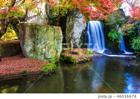 渓石園の紅葉　【大分県中津市耶馬渓】 46036678