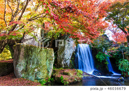 渓石園の紅葉　【大分県中津市耶馬渓】 46036679
