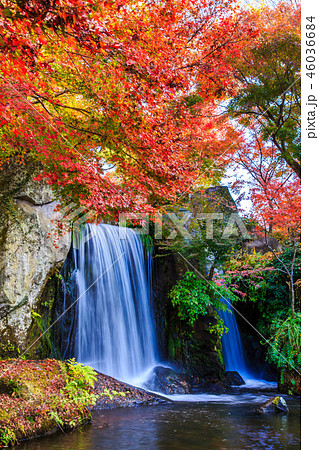 渓石園の紅葉　【大分県中津市耶馬渓】 46036684