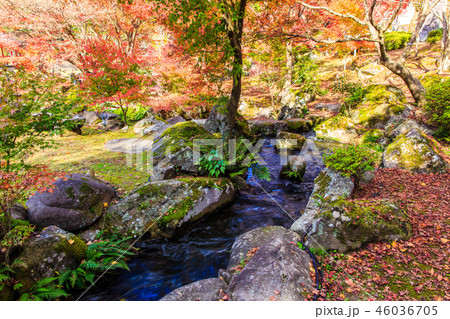 渓石園の紅葉　【大分県中津市耶馬渓】 46036705