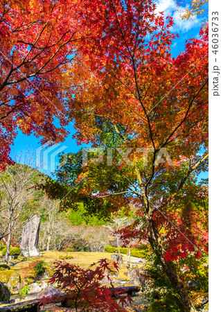 渓石園の紅葉 【大分県中津市耶馬渓】 渓石園の紅葉 【大分県中津市耶馬渓】 46036733