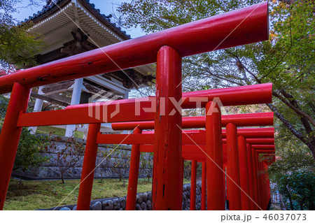 (静岡県)法多山尊永寺 二葉神社 鳥居 (静岡県)法多山尊永寺 二葉神社 鳥居 46037073