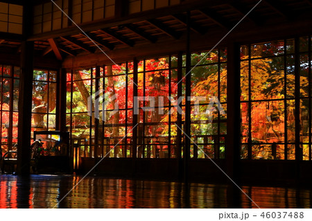 紅葉の南昌荘 46037488