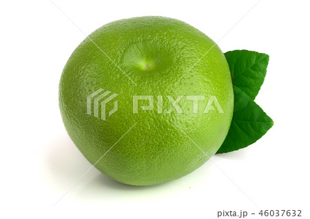 Citrus Sweetie or Pomelit, oroblanco with leaf isolated on white background close-up 46037632