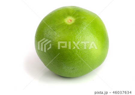 Citrus Sweetie or Pomelit, oroblanco isolated on white background close-up 46037634
