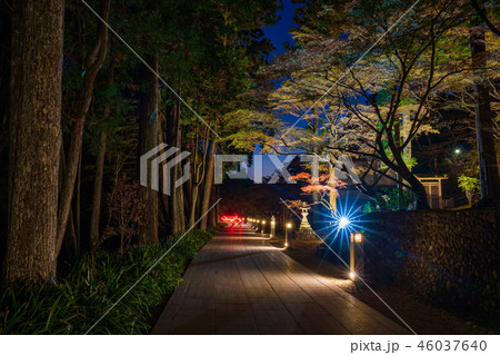 （静岡県）法多山尊永寺　境内　ライトアップ 46037640