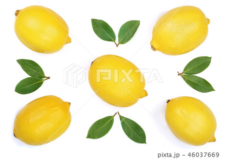 lemon isolated on white background. Flat lay,...の写真素材 [46037669] - PIXTA