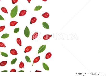 rosehip berries isolated on white background with copy space for your text. Flat lay pattern. Top 46037806