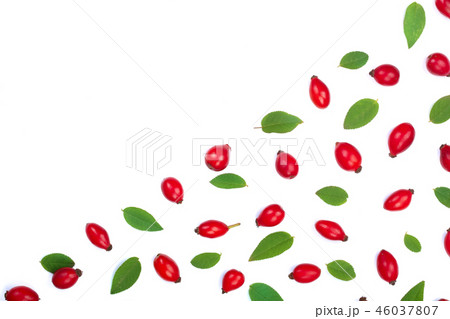 rosehip berries isolated on white background with copy space for your text. Flat lay pattern. Top 46037807