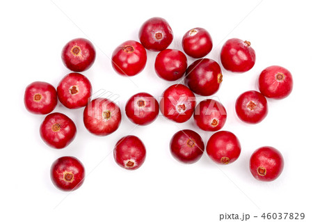Cranberry isolated on white background closeup top view 46037829