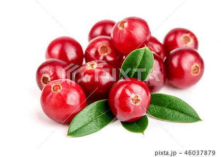 Cranberry with leaf isolated on white background closeup macro Cranberry with leaf isolated on white background closeup macro 46037879