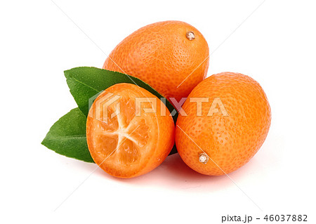 Cumquat or kumquat with leaf isolated on white background close up Cumquat or kumquat with leaf isolated on white background close up 46037882